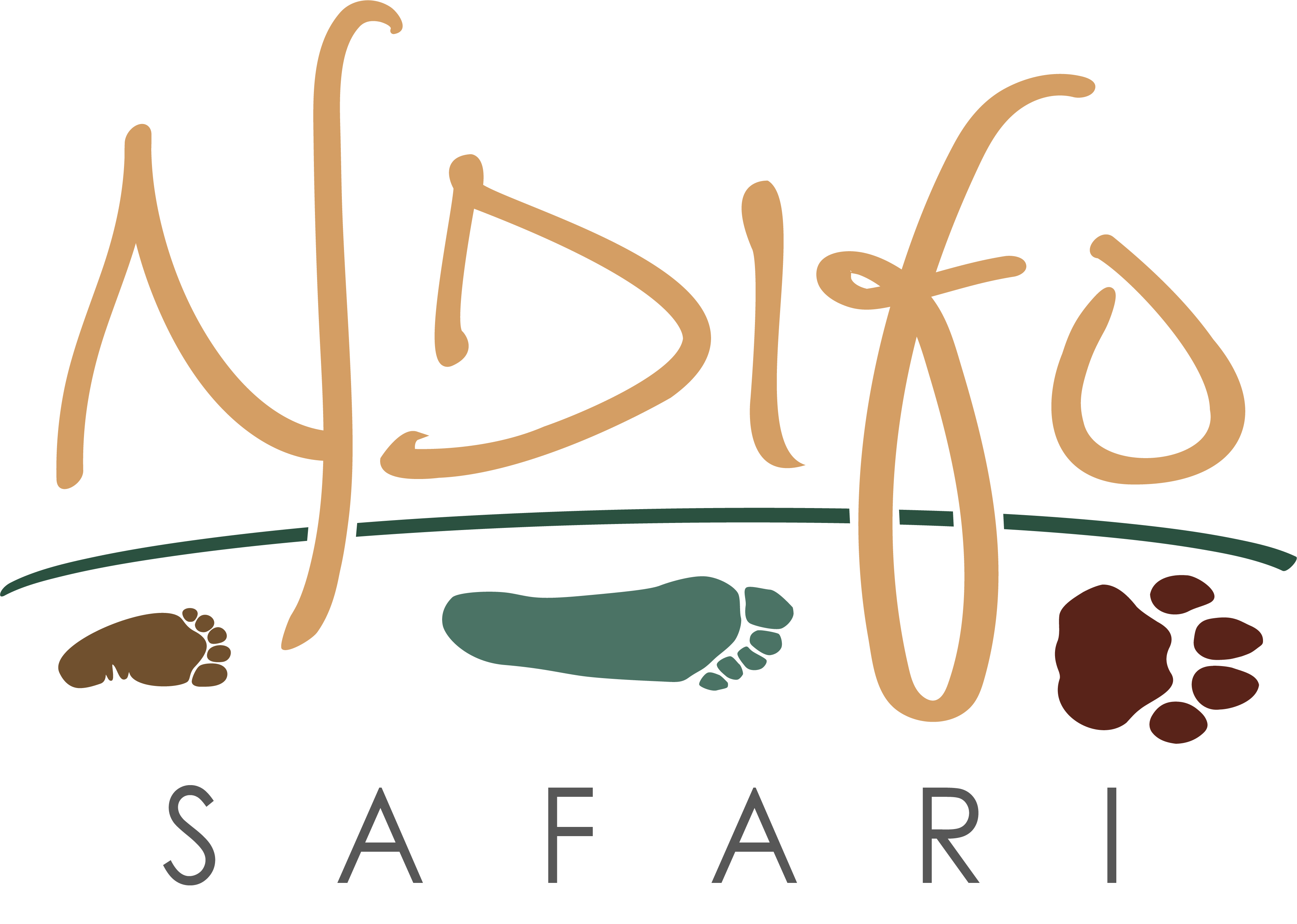 Ndifo Safari